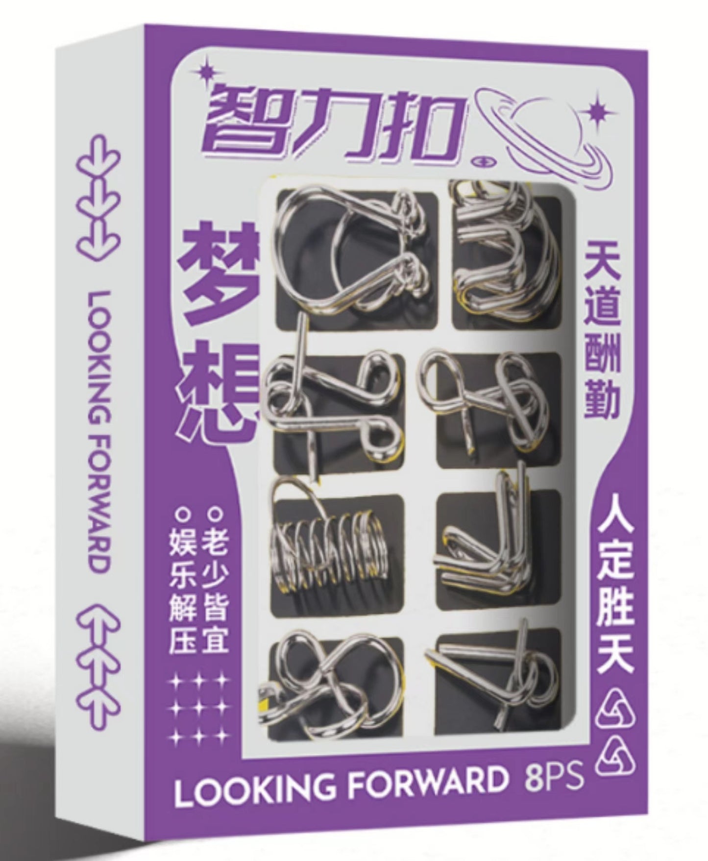 METAL PUZZLE (8PCS)