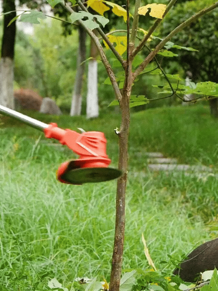 Multi - Function Lawn Mower