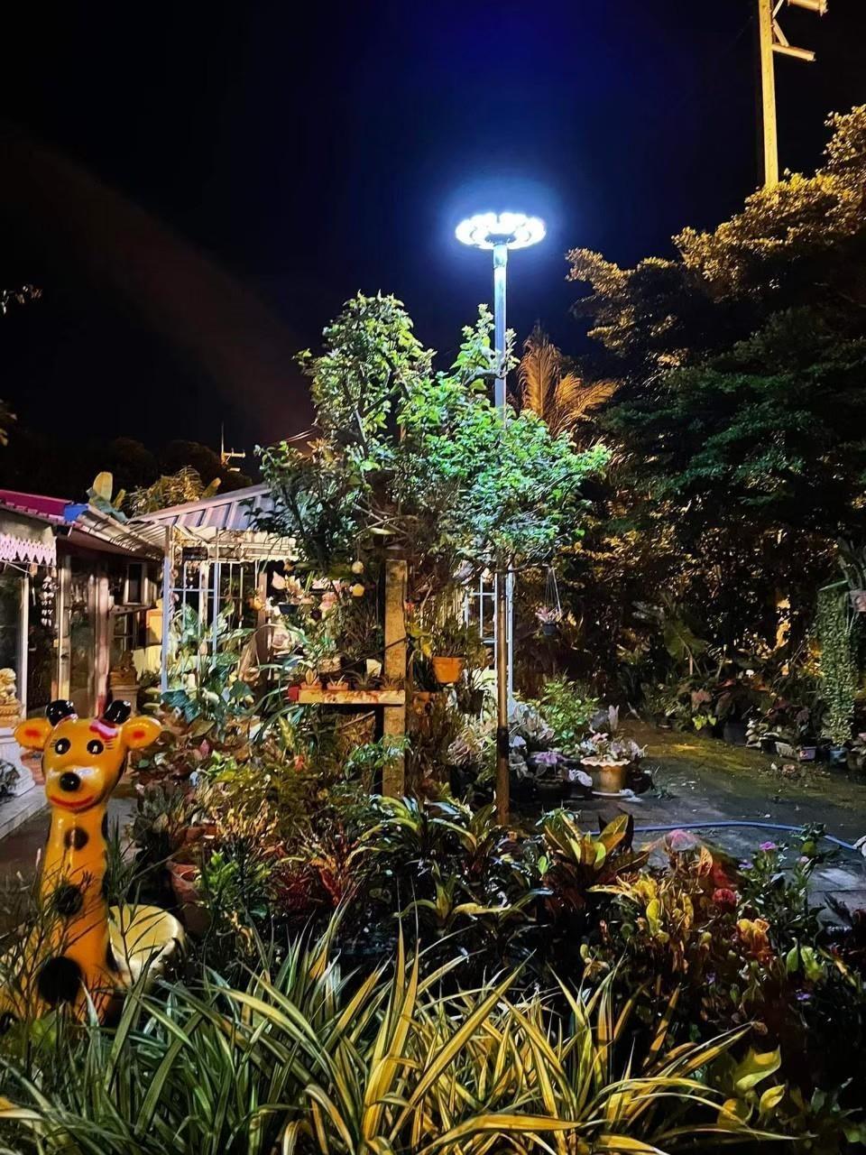 UFO solar led garden